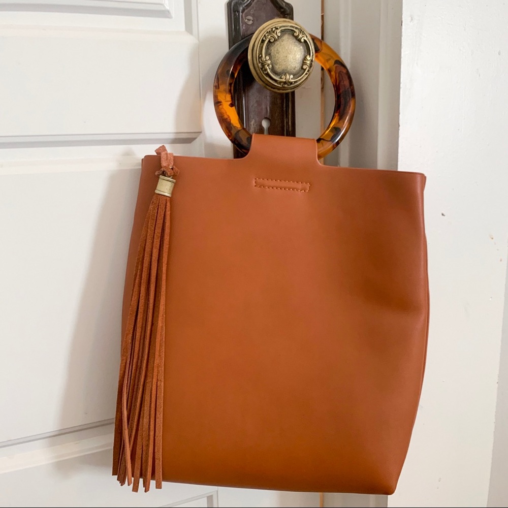 Anthropologie Tortoise Lucite Purse w Fringe